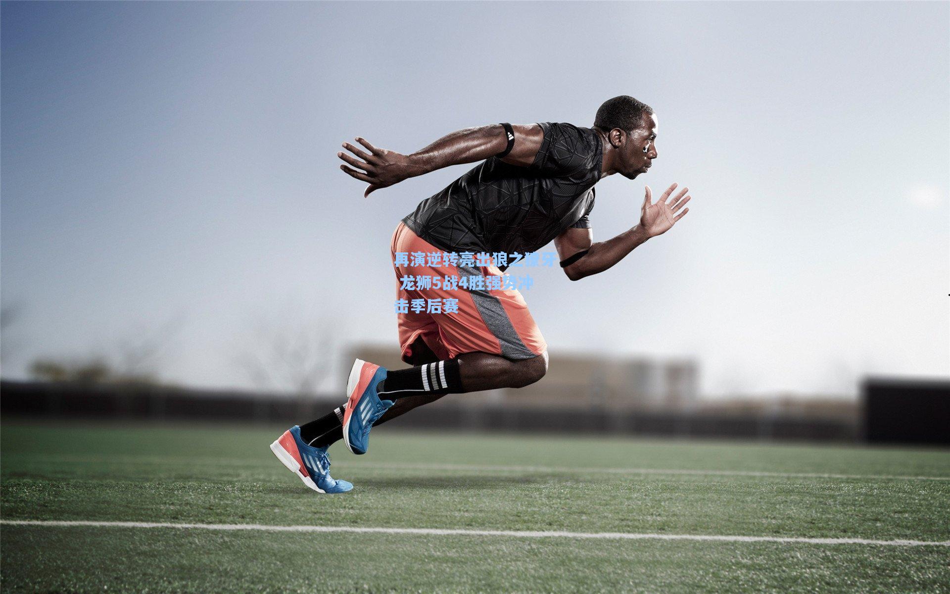 再演逆转亮出狼之獠牙 龙狮5战4胜强势冲击季后赛